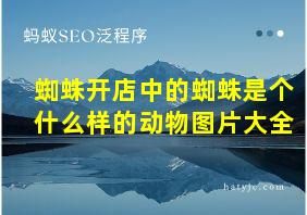 蜘蛛开店中的蜘蛛是个什么样的动物图片大全