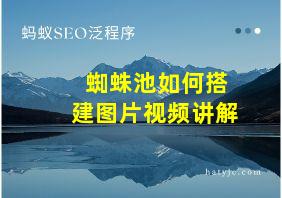 蜘蛛池如何搭建图片视频讲解