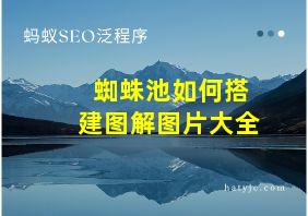 蜘蛛池如何搭建图解图片大全