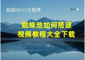 蜘蛛池如何搭建视频教程大全下载