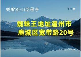 蜘蛛王地址温州市鹿城区宽带路20号