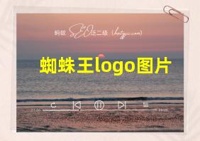 蜘蛛王logo图片