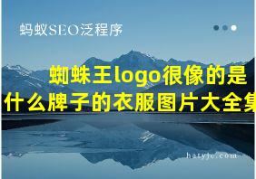 蜘蛛王logo很像的是什么牌子的衣服图片大全集