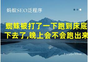 蜘蛛被打了一下跑到床底下去了,晚上会不会跑出来