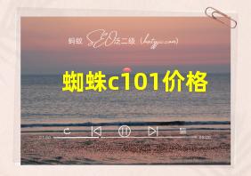 蜘蛛c101价格