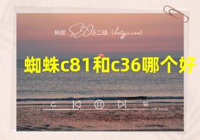 蜘蛛c81和c36哪个好