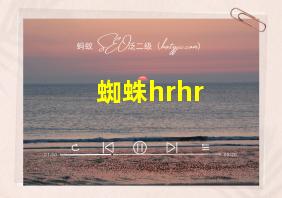 蜘蛛hrhr