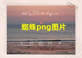 蜘蛛png图片