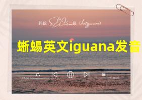 蜥蜴英文iguana发音