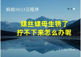 螺丝螺母生锈了拧不下来怎么办呢