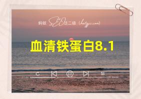 血清铁蛋白8.1