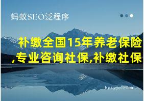 补缴全国15年养老保险,专业咨询社保,补缴社保