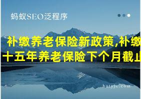 补缴养老保险新政策,补缴十五年养老保险下个月截止