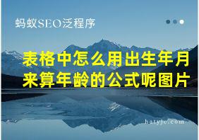 表格中怎么用出生年月来算年龄的公式呢图片