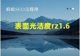 表面光洁度rz1.6