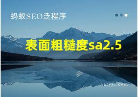 表面粗糙度sa2.5