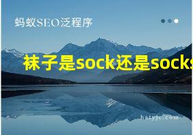 袜子是sock还是socks