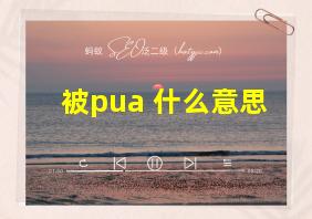 被pua 什么意思