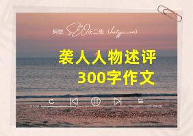 袭人人物述评300字作文