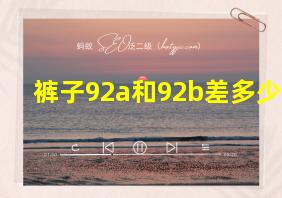 裤子92a和92b差多少