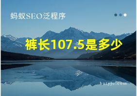 裤长107.5是多少