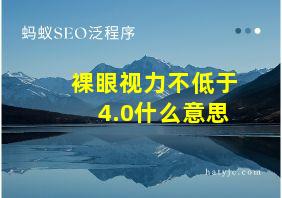 裸眼视力不低于4.0什么意思