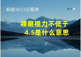 裸眼视力不低于4.5是什么意思