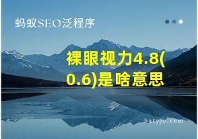 裸眼视力4.8(0.6)是啥意思