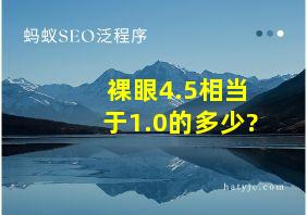 裸眼4.5相当于1.0的多少?