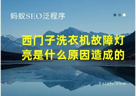 西门子洗衣机故障灯亮是什么原因造成的