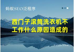 西门子滚筒洗衣机不工作什么原因造成的