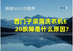 西门子滚简洗衣机E20故障是什么原因?