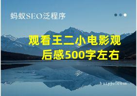 观看王二小电影观后感500字左右