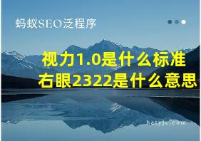 视力1.0是什么标准右眼2322是什么意思