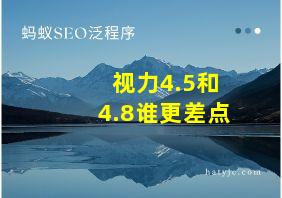 视力4.5和4.8谁更差点