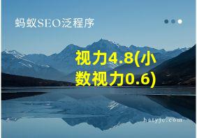 视力4.8(小数视力0.6)