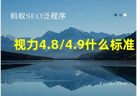 视力4.8/4.9什么标准