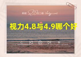 视力4.8与4.9哪个好