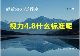 视力4.8什么标准呢