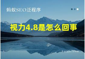 视力4.8是怎么回事