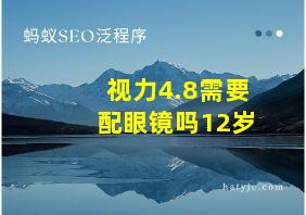 视力4.8需要配眼镜吗12岁