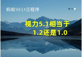 视力5.1相当于1.2还是1.0