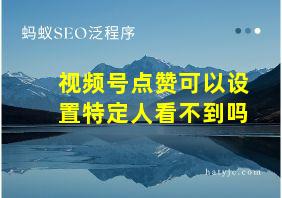 视频号点赞可以设置特定人看不到吗