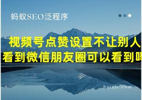 视频号点赞设置不让别人看到微信朋友圈可以看到吗