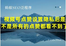 视频号点赞设置隐私后是不是所有的点赞都看不到了