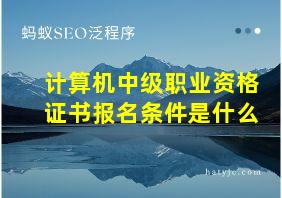 计算机中级职业资格证书报名条件是什么