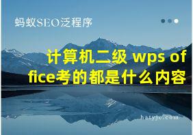 计算机二级 wps office考的都是什么内容