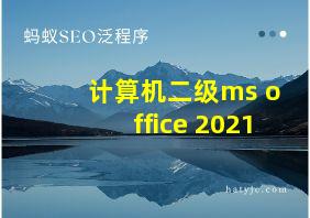 计算机二级ms office 2021