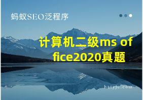 计算机二级ms office2020真题