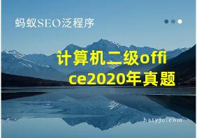 计算机二级office2020年真题